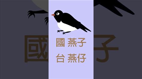 燕子台語